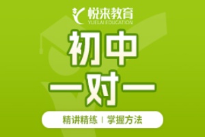 武汉初中全科1对